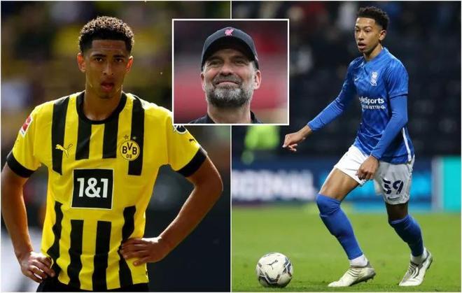 莱默尔：拜仁永远是个竞争激烈的鲨鱼池，必须拿出好的表现